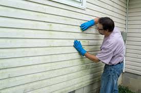 Best Siding Removal and Disposal  in Roseto, PA